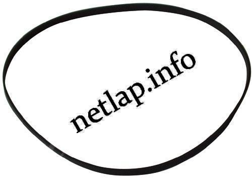 Lapos szíj 217,0 x 5,0 x 0,5 mm