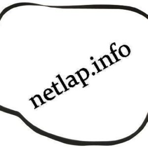 Lapos szíj 81,0 x 7,0 x 0,55 mm