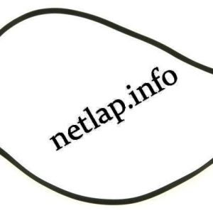 Lapos szíj 93,0 x 6,0 x 0,43 mm