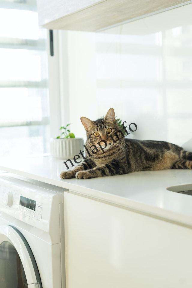 Mosógép alkatrész