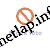 NL-PZS-265H24 Hoover H24 porszívó porzsák